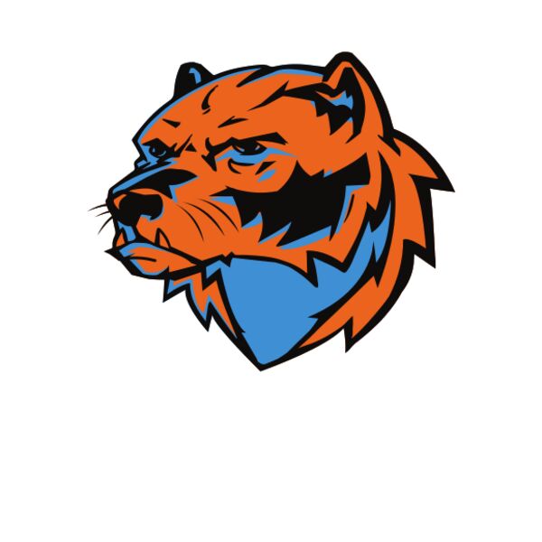 DESIGN 4 FOR ROYAL ORANGE BLACK Thumbnail