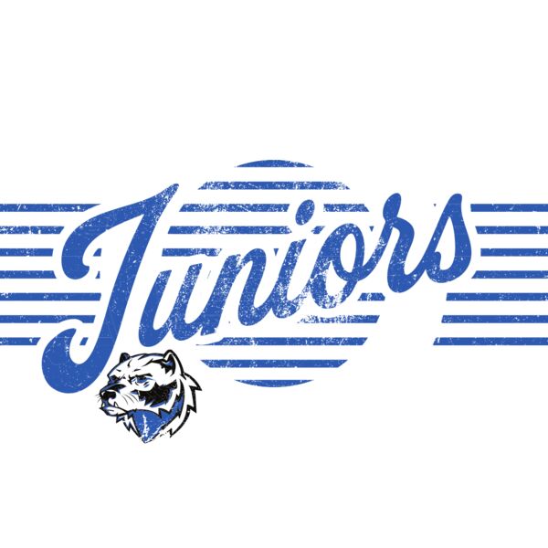 Wesview Juniors Logo 1 Orange Thumbnail