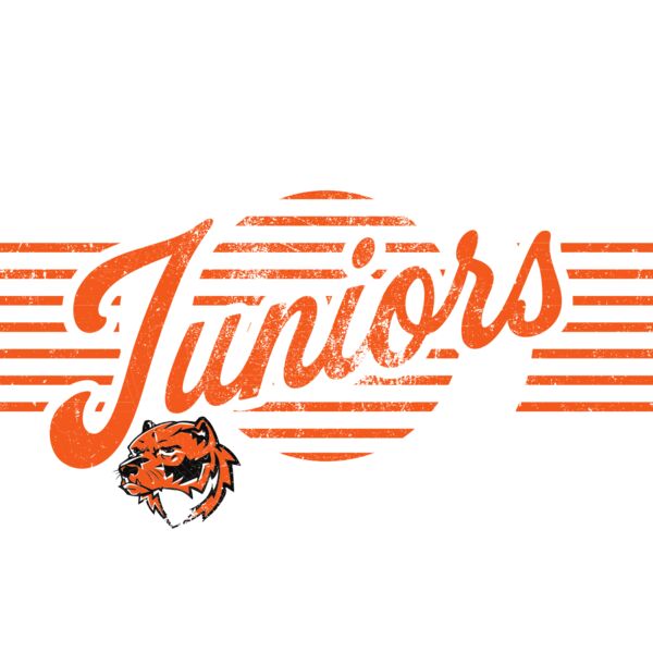 Wesview Juniors Logo 1 Royal Thumbnail