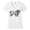 Women's Perfect Weight ® V Neck Tee Thumbnail