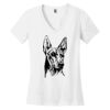Women's Perfect Weight ® V Neck Tee Thumbnail