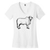 Women's Perfect Weight ® V Neck Tee Thumbnail