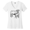 Women's Perfect Weight ® V Neck Tee Thumbnail