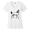 Women's Perfect Weight ® V Neck Tee Thumbnail