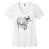 Women's Perfect Weight ® V Neck Tee Thumbnail